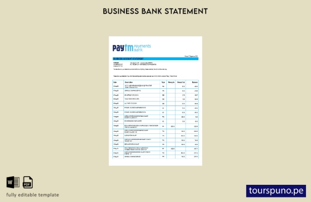 listo para imprimir PayTM Payments estado de cuenta de la empresa comercial Plan