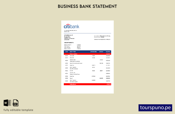 listo para imprimir Plantilla de declaración de organización de Citibank de EE.