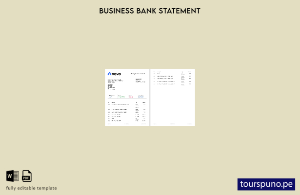 listo para imprimir extracto bancario comercial en línea de USA Novo Platform IN