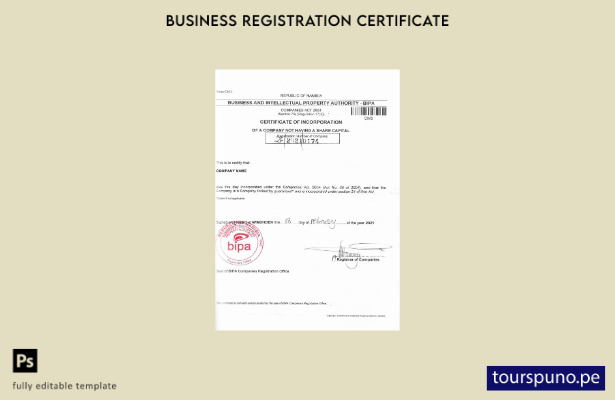 Plantilla de Certificado de Corporación de Namibia lista para imprimir