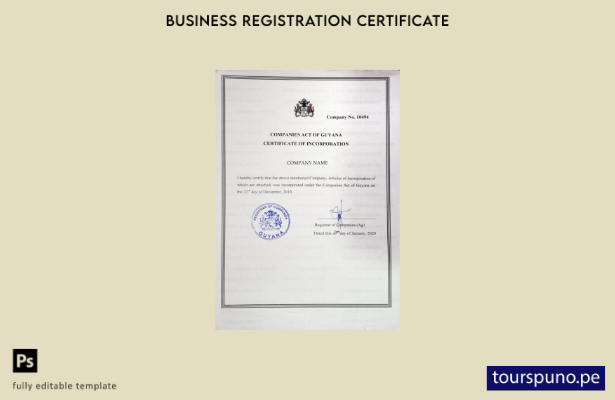 Plantilla de Certificado de Incorporación de Guyana lista para imprimir
