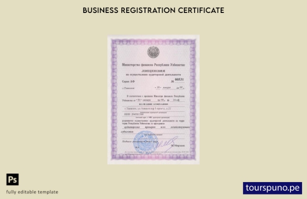 Plantilla de licencia comercial de Uzbekistán lista para imprimir