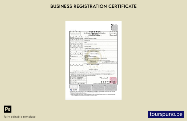 listo para imprimir Certificado de registro comercial de Corea del Sur Plantilla