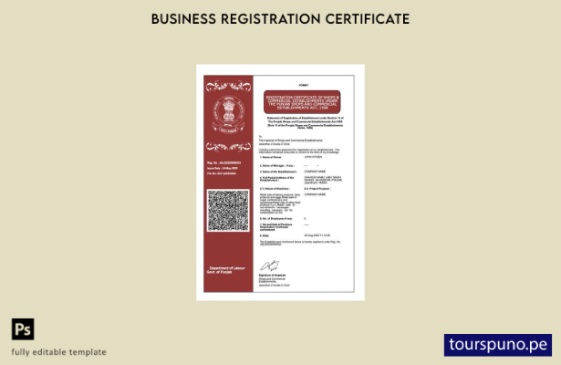 listo para imprimir Certificado de registro de India Punjab Plantilla de plantil