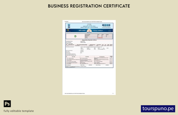 listo para imprimir Certificado de registro de India Udyog Aadhaar Plantilla de