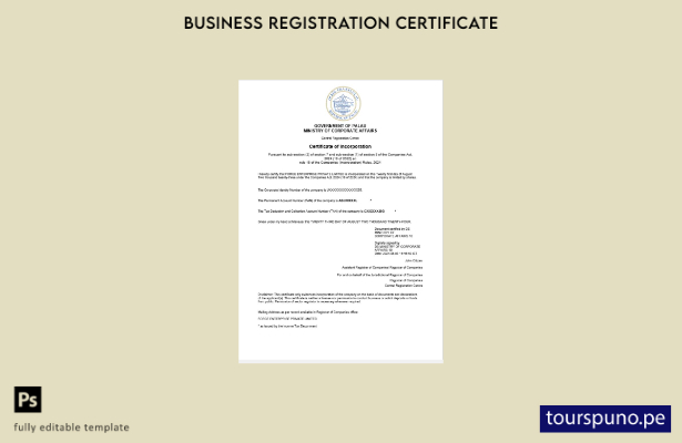 listo para imprimir Certificado de registro empresarial de Palau Plantilla de pl