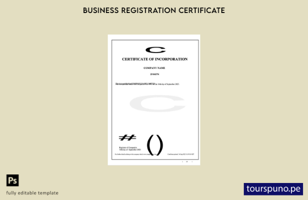 listo para imprimir certificado de incorporación de Nueva Zelanda Plantilla de W