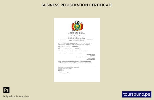 listo para imprimir certificado de registro de Bolivia plantilla plantilla Word