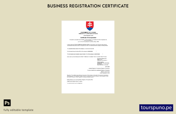 listo para imprimir el certificado de registro empresarial de Eslovaquia Plantil
