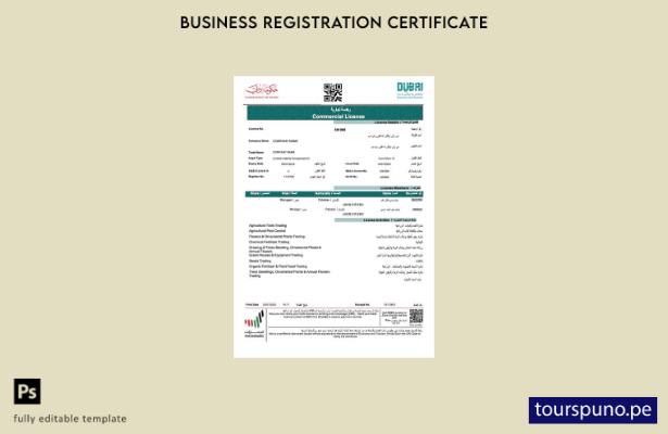 listo para imprimir plantilla de Word y PDF de licencia comercial de Emiratos Ár