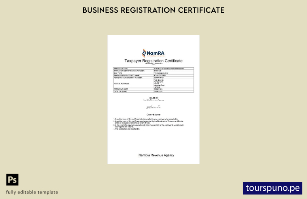 listo para imprimir plantilla de certificado de registro de contribuyente de Nam