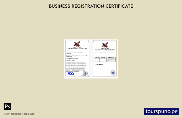 listo para imprimir plantilla de plantilla de certificado de registro de EE. UU.