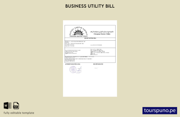lista para imprimir la plantilla de factura de servicios públicos de electricida