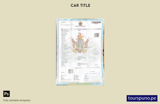 Plantilla de certificado de registro de vehículo de Zimbabwe lista para imprimir