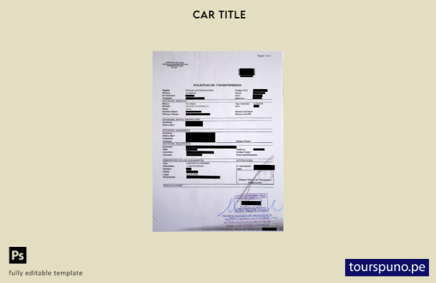 Plantilla de certificado de registro de vehículos de Chile lista para imprimir