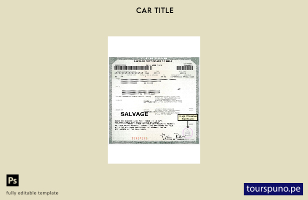 listo para imprimir plantilla de certificado de salvamento de título de EE. UU.