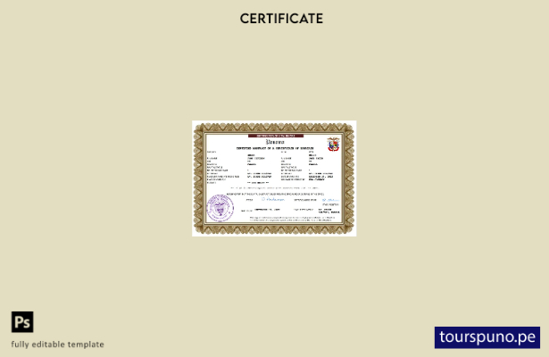 Lista para imprimir Certificado de matrimonio de Panamá Plantilla Word y PDF