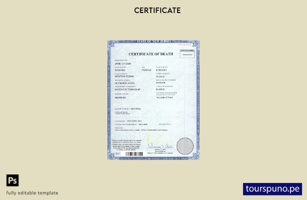 Listo para imprimir la plantilla de certificado de defunción del estado de Nueva