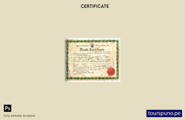 Plantilla de certificado de defunción del condado de Bristol, Inglaterra, lista
