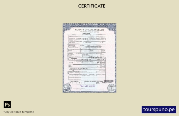 Plantilla de certificado de defunción del condado de Los Ángeles de EE. UU. list