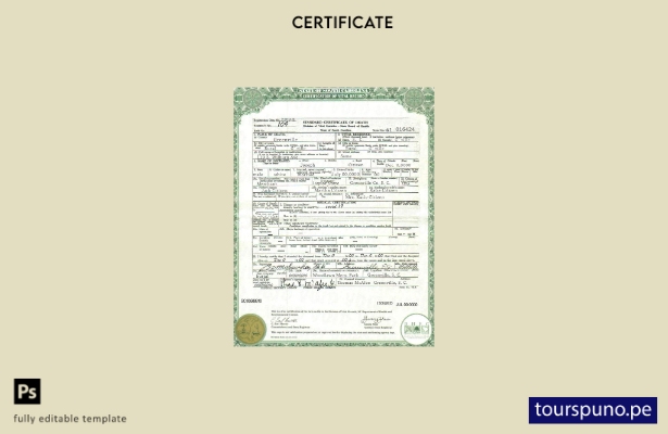 Plantilla de certificado de defunción del estado de Carolina del Sur de EE. UU.