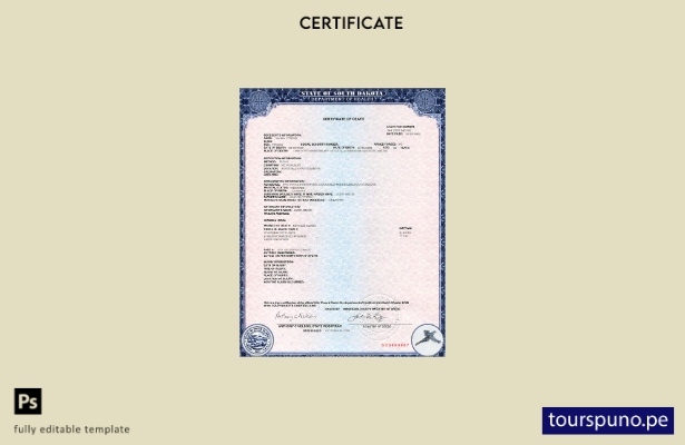 Plantilla de certificado de defunción del estado de Dakota del Sur de EE. UU. li