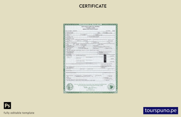 Plantilla de certificado de defunción del estado de Illinois de EE. UU. lista pa