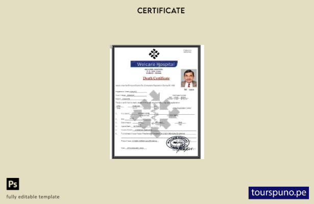 Plantilla de certificado de defunción del hospital Ghana Welcare lista para impr