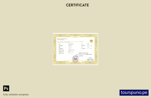Plantilla de certificado de matrimonio del Estado de Palestina lista para imprim