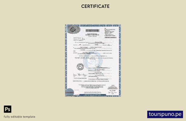 Plantilla de certificado de matrimonio del estado de Nevada de EE. UU. lista par