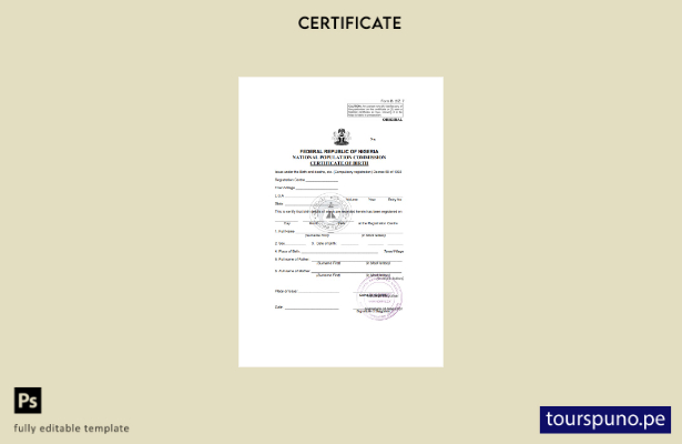 Plantilla de certificado de nacimiento de Nigeria lista para imprimir en formato