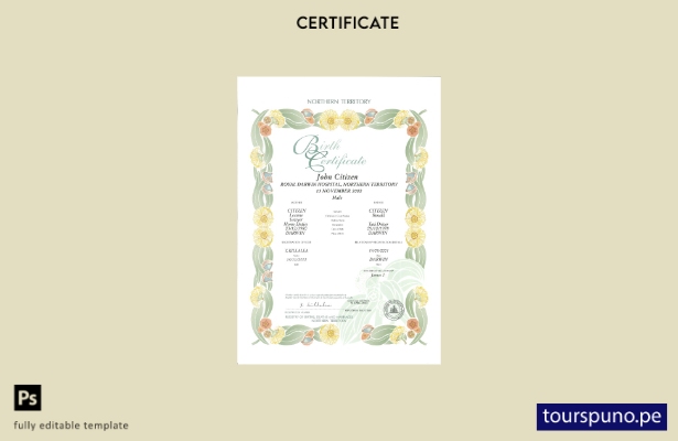Plantilla de certificado de nacimiento decorativa (conmemorativa) del Territor 1