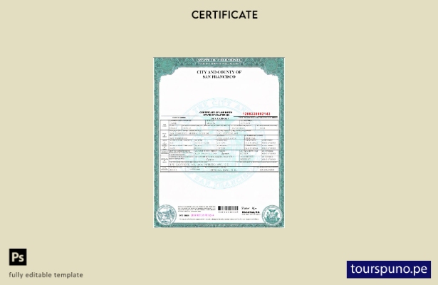 Plantilla de certificado de nacimiento del estado de California de EE. UU. lista