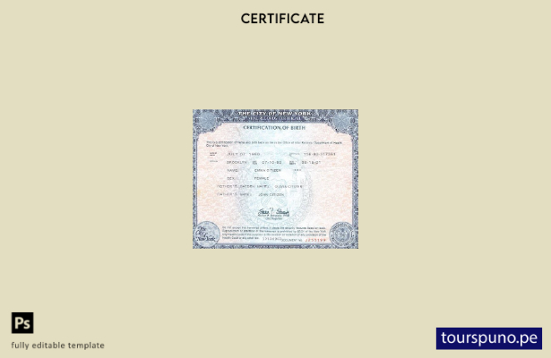 Plantilla de certificado de nacimiento del estado de Nueva York lista para impri