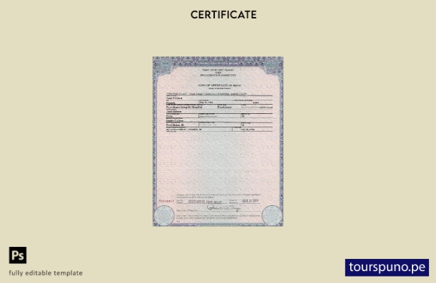 Plantilla de certificado de nacimiento del estado de Rhode Island de EE. UU. lis