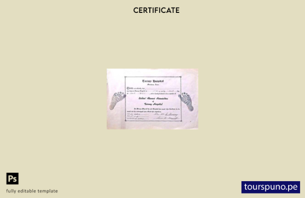 Plantilla de certificado de nacimiento del hospital Carney de Massachusetts list