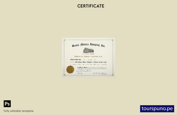 Plantilla de certificado de nacimiento del hospital de California Santa Mónica l