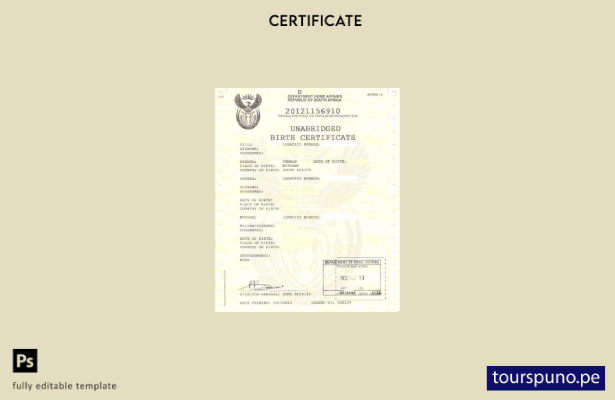 Plantilla de certificado de nacimiento lista para imprimir del Departamento de A