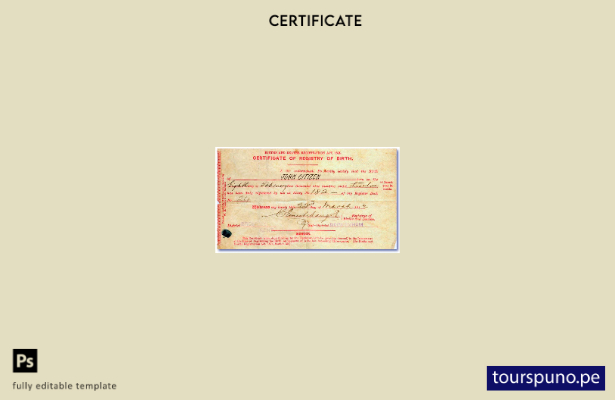 Plantilla de certificado de nacimiento lista para imprimir del Registro de Nacim