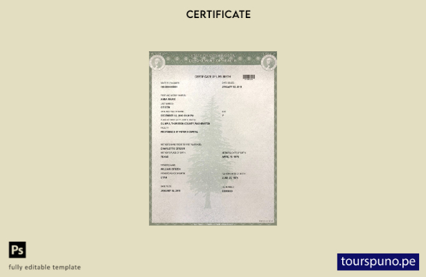 lista para imprimir plantilla de certificado de nacimiento del estado de Lavado