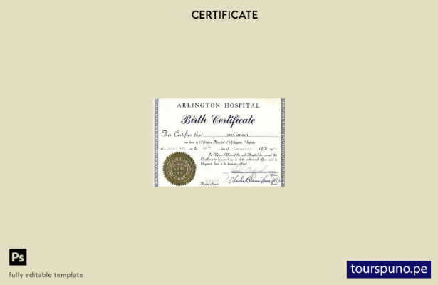lista para imprimir plantilla de certificado de nacimiento del hospital de Arlin