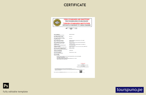 listo para imprimir Certificado de conformidad de la Institución de Estándares T