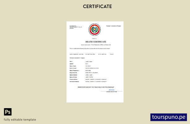 listo para imprimir Certificado de defunción de Paraguay Plantilla Word y PDF