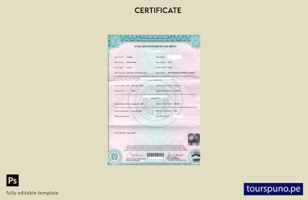 listo para imprimir Plantilla de certificación de nacimiento de Estadísticas Vit