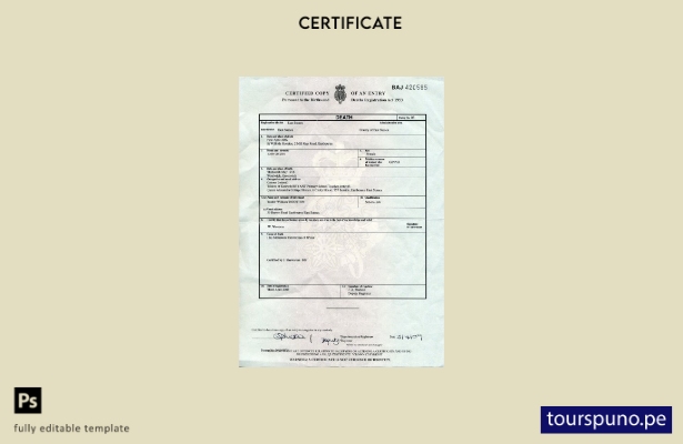 listo para imprimir Plantilla de certificado de defunción del Registro de Naci 2