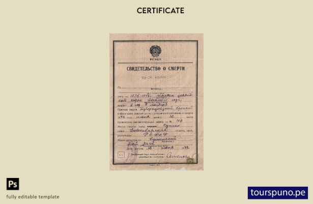 listo para imprimir Plantilla de certificado de defunción del jefe de la oficina