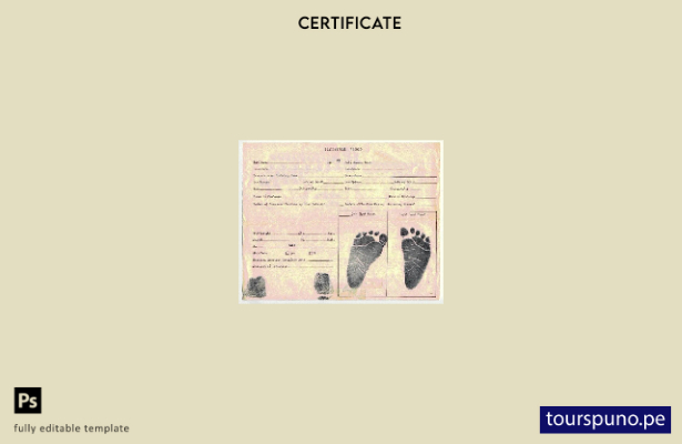 listo para imprimir Plantilla de registro estadístico de certificado de nacimien