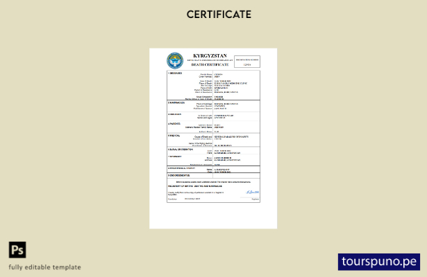 listo para imprimir certificado de defunción de Kirguistán Plantilla en Word y P