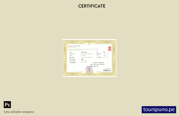 listo para imprimir certificado de matrimonio de Serbia Plantilla en Word y PDF