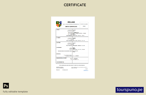 listo para imprimir certificado de nacimiento de Irlanda Plantilla en Word y PDF